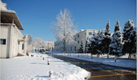 龙八国际自动门集团2013年办公楼雪景